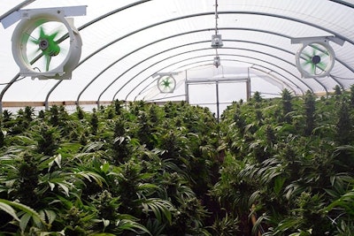 Indoor3