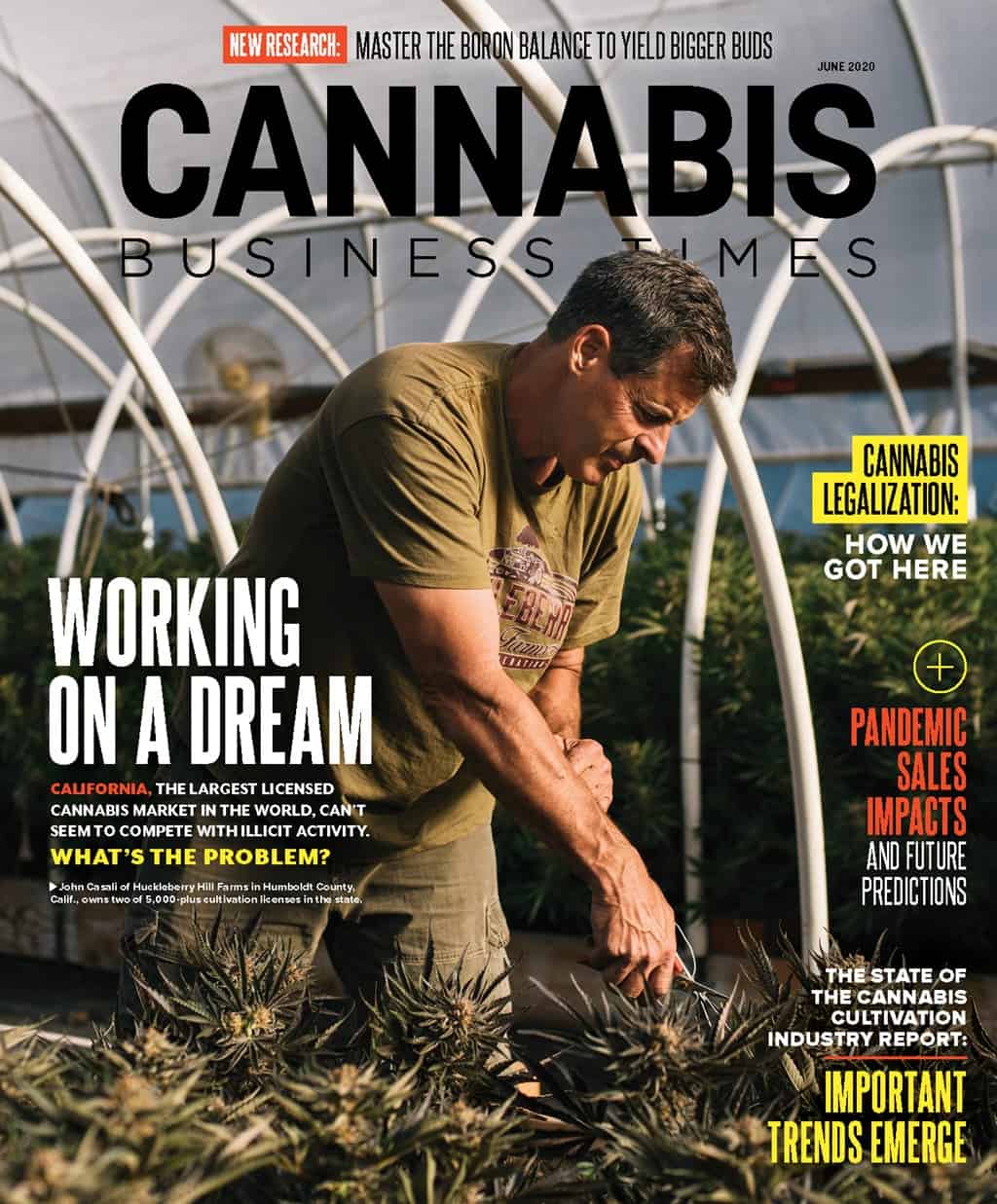 Cannabis Business Times June 2020