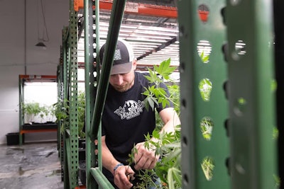 Sinse Superdog 0615 9261 Resized