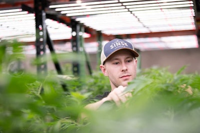 Sinse Superdog 0615 9380 Resized