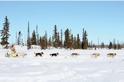 Team Zappa Full Team Iditarod Gear Fmt