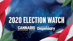 2020 Election Graphic