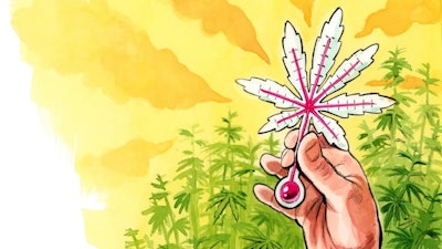 46 47 Hot Hemp