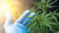 Adobe Stock285047764rcfotostock