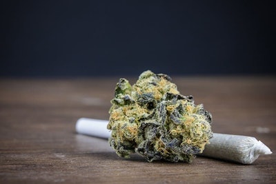 Budand Joint Adobe Stock Credit Best Stock Foto Resized