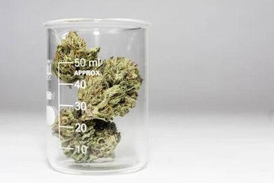 Cannabisin Test Tube Adobe Stock Credit Mitch Resized