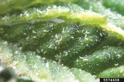 Fig1 Highres