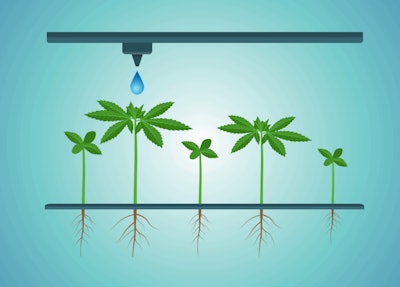 Hemp Irrigation Fmt
