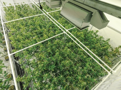 I Stock 1177157818 Fmt