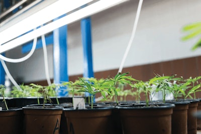 I Stock 823494230 Fmt