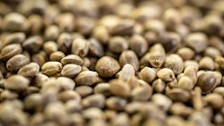 Seed Marek Photo Design