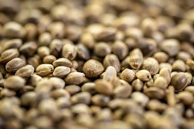 Seed Marek Photo Design