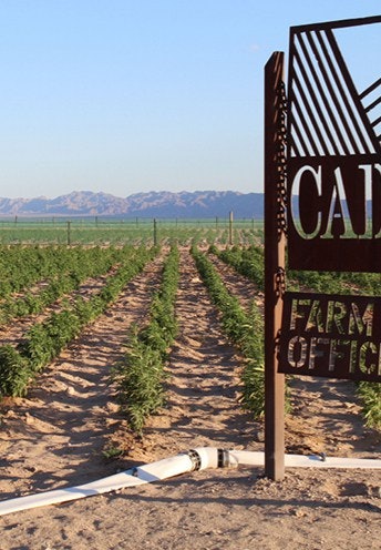socal hemp