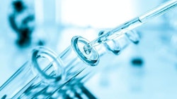 Test Tubes Adobe Stock Credit Alex Traksel Resized