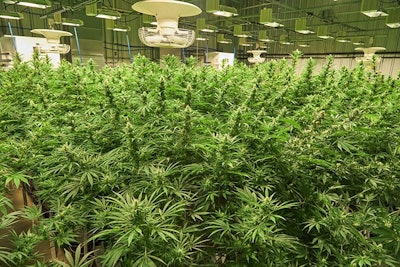 The Pass Grow Room Resized