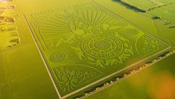 Trusttheearthresized