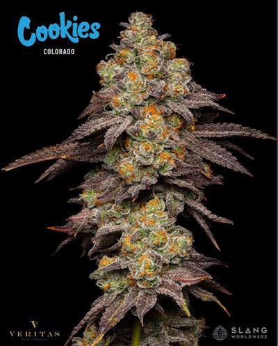 Veritas X Cookies2