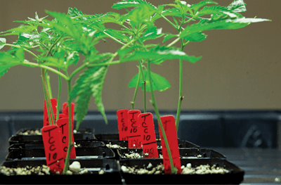 030620 Res Cult 26 Fmt