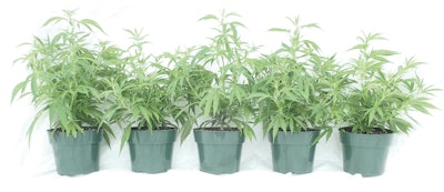 2 Fig5pots766 Fmt