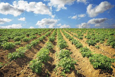 Adobe Stock 103490160 Fmt