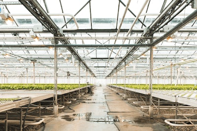 Adobe Stock 257062476 Fmt