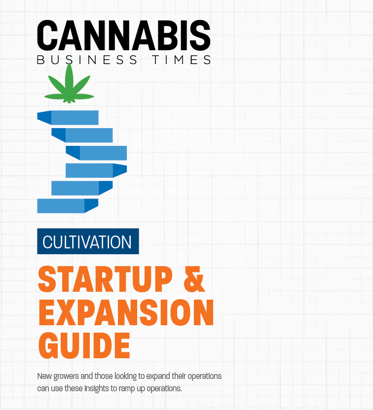 Beginners Guide Cover Fmt