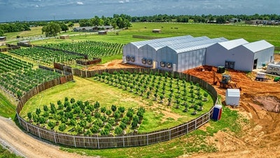 Designed and built by cannabis management company Next Big Crop, this 10,000 square foot greenhouse with two acres of outdoor growing space was meticulously planned based on the goals of the owners and their desire to scale. The footprint includes an outdoor growing area, greenhouse and processing facility.
