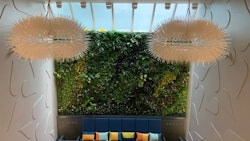 Etain's 'green wall' is one element of its new flagship Midtown East dispensary.