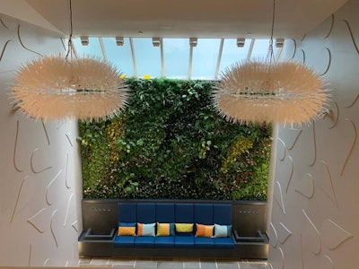 Etain's 'green wall' is one element of its new flagship Midtown East dispensary.