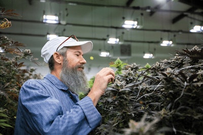 Grow Harvest 1 594 Fmt