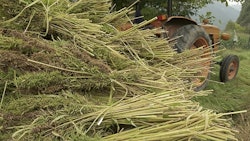 Hemp Ig Stokkete