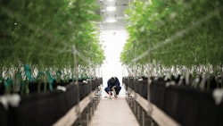 Resonant Cultivation