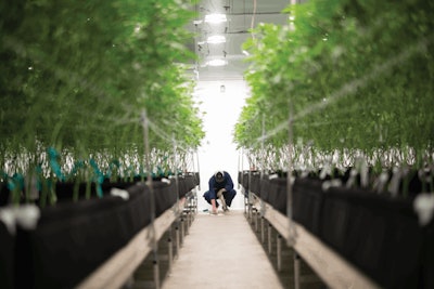 Resonant Cultivation