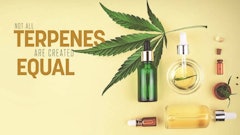 Terpenes