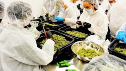 Thumbnaile63123b9 3615 4cac Af3e 02524ba1fd0a