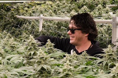 Zach Goodin Amplified Web