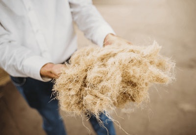 20200826 Erff Photoshoot Hempflax Jpg 2 Fmt