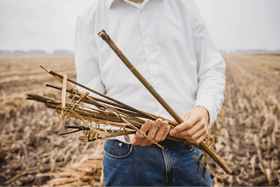 20200826 Erff Photoshoot Hempflax Jpg 3 Fmt