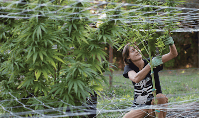 2 Dc8 C5 C8 46 C7 4 Fd4 809 F 6 F589272 A55 E 13625 00000704890 Ead58 Fmt