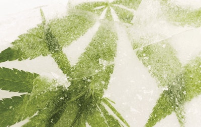 Adobe Stock 216603521 Fmt