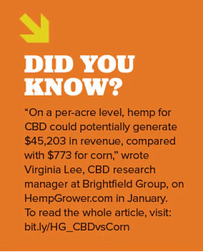 Did You Know Fmt
