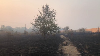 Facebook Screengrab Terry Taylor 4