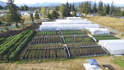 Farm Birds Eye View Fmt