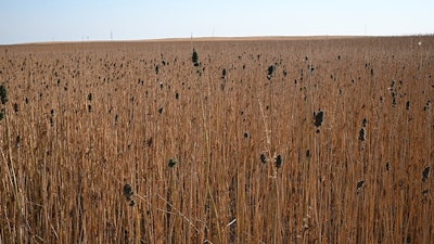 Fullfieldloss Resized