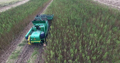 Hemp Flax Combine Harvester Fmt