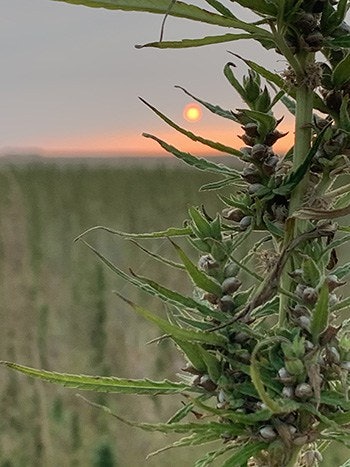 rabou farms wyoming