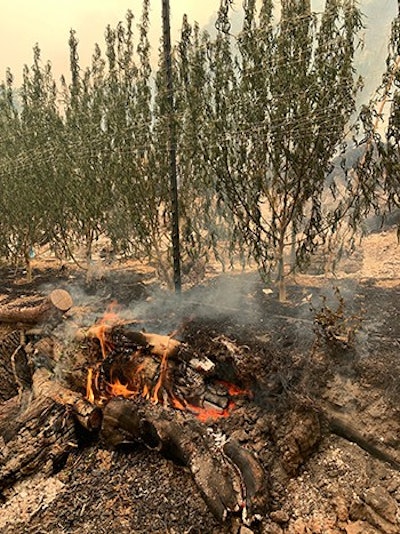 california wildfire sweet creek farm
