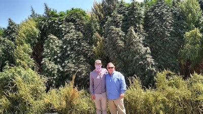 Apothio's Joshua Renfro, partner, left, and Dr. Trent Jones, founder and managing partner, standing in front of a hemp crop