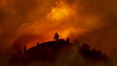 Wildfire The Vagabond V Schaal