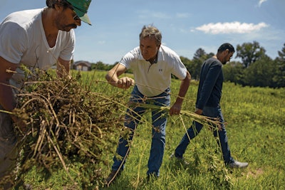20200624 Hemp Grower 051 Fmt